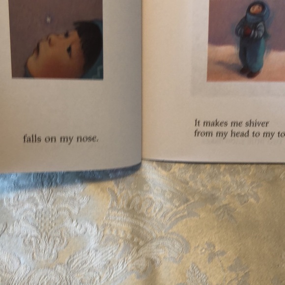 MILLIONS OF SNOWFLAKES NWOT SCHOLASTIC CHILDRENS BOOK Mary McKenna Siddals- #237 - Picture 5 of 8